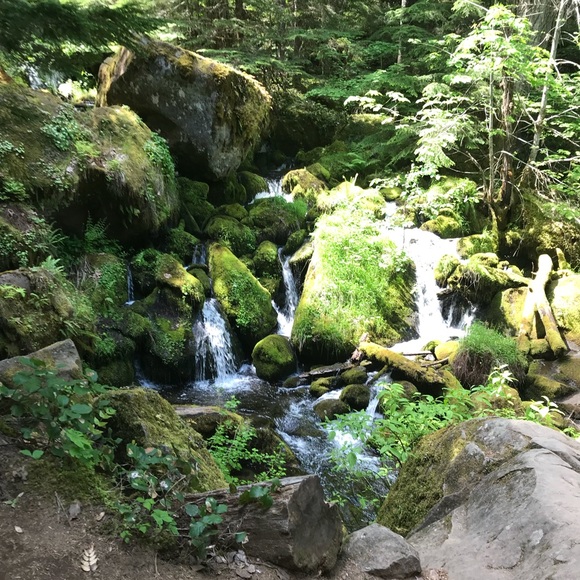 Meet your Posher, Theresa - Picture 1 of 1